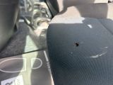 a small bug that is sitting on the seat of a car