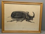 une image représentant un dessin de coléoptère sur un mur