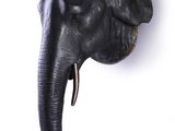 an elephant head mounted on the wall of a room
