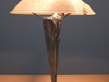 a lamp that is sitting on a wooden table