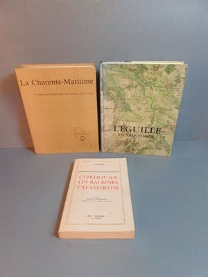 René FAILLE Cordouan Les Baleines , Chassiron Préface de M.