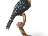 un oiseau perché au bout d'une branche