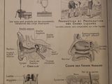 a picture of a diagram of some things that are in the picture