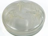 une boîte en verre transparent ornée d'un motif de libellule