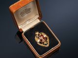 an image of a gold and red broochle in a case
