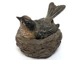 a bird that is sitting in a nest on a white surface