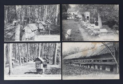 quatre photographies en noir et blanc d'un petit village dans les bois