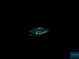 an image of a green leaf in the dark