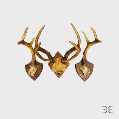 deux têtes de cerf accrochées au mur, rehaussées de touches de feuille d'or