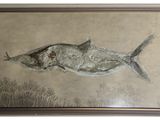 painting of a fish in a frame on a beige background