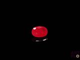 une pomme rouge posée sur une surface noire