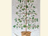 une image représentant une serviette sur laquelle est posée une plante en pot