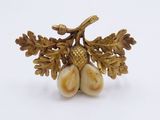 two acorns sitting on a branch with leaves and acorns