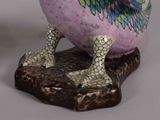 a bird that is sitting on top of a rock