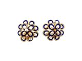 une paire de boucles d'oreilles bleues et dorées sur fond blanc