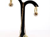 a necklace and earrings on a stand with a chain