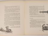 an open book with illustrations of animals on it