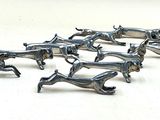 tout un tas de chevaux miniatures alignés les uns à côté des autres