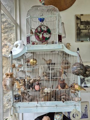 une cage blanche contenant de nombreux oiseaux