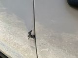 a bird that is sitting on the side of a car