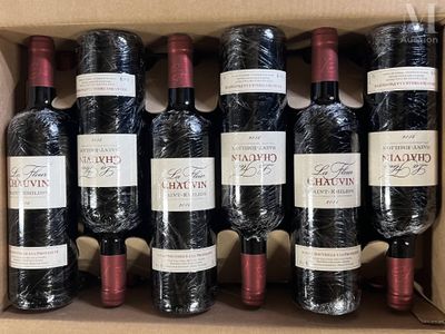 LA FLEUR CHAUVIN LA FLEUR CHAUVIN, Saint-Emilion, 2016, 12 b…