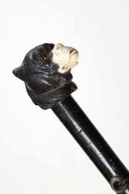 une tête d'ours noir au sommet d'une canne noire
