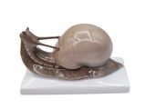 a snail figurine sitting on top of a white base