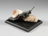 statue of a snail sitting on a rock with a stick in its mouth