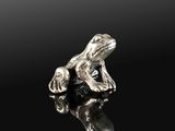 a silver frog sitting on top of a rock on a black surface