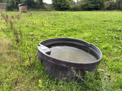 un seau d'eau posé au milieu d'un champ