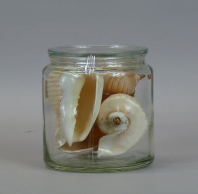 a glass jar with shells inside of it on a table