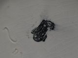 a close up of a plate with a black design on it