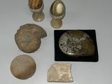 un grand nombre d'objets posés sur une table