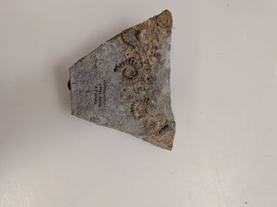 a piece of rock that has been placed on a table