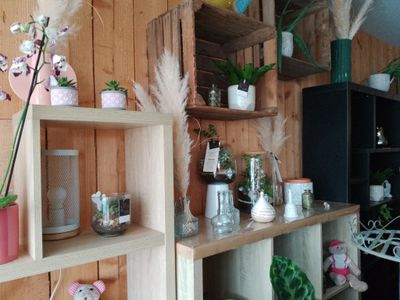 a shelf with many different types of plants on it