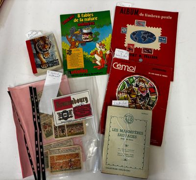 un grand nombre d'objets posés sur une table