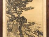 a drawing of a pine tree on a rocky cliff