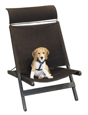 a dog that is sitting in a chair on a white background