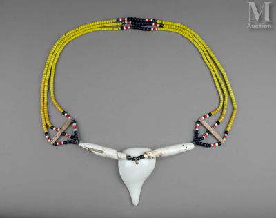 un gros plan d'un collier orné d'une dent de requin