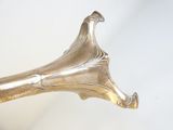 un vase argenté posé sur une table blanche, sur fond blanc