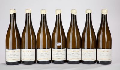 six bouteilles de vin sont alignées sur une table