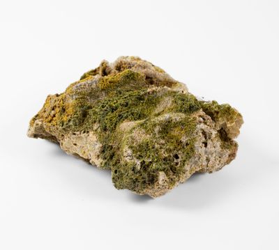 a rock covered in moss on a white surface