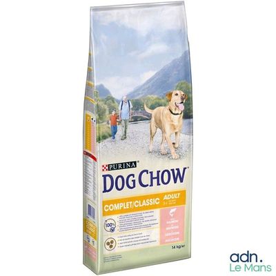 Dog Chow Adult Large Breed : croquettes pour chiens adultes de grande race à base de poulet et de riz