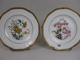 two plates with floral designs on them are sitting on a table