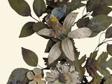 a picture of a bunch of flowers that are on a branch