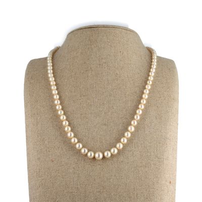 gros plan d'un collier sur un mannequin mannequin
