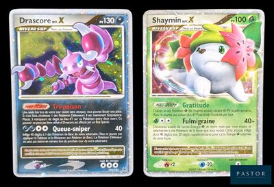 Deux cartes Pokémon sont représentées côte à côte sur un fond noir