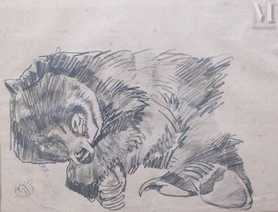 a drawing of a bear laying down on the ground