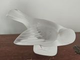 un oiseau blanc posé sur une table en bois