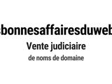 Photo 1/1 du lot